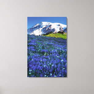 USA, Washington, Mt. Rainier National Park. Mt. Canvas Print