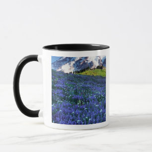USA, Washington, Mt. Rainier National Park. Mt. Mug