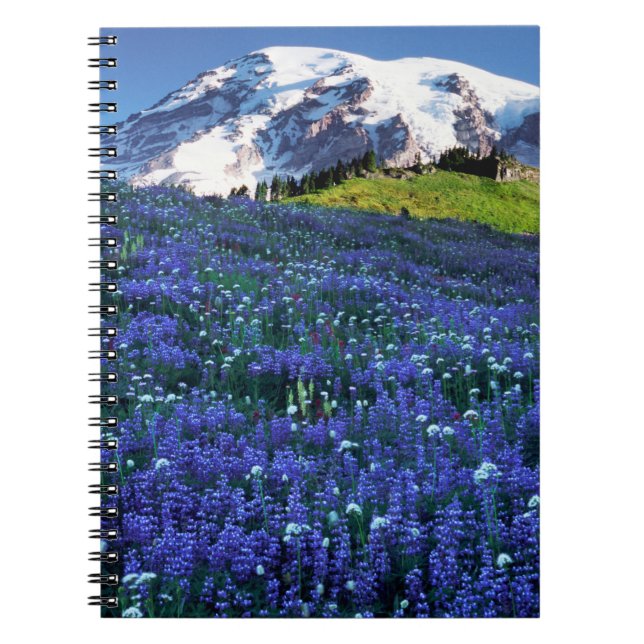 USA, Washington, Mt. Rainier National Park. Mt. Notebook (Front)