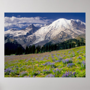 USA, Washington, Mt. Rainier National Park. Poster