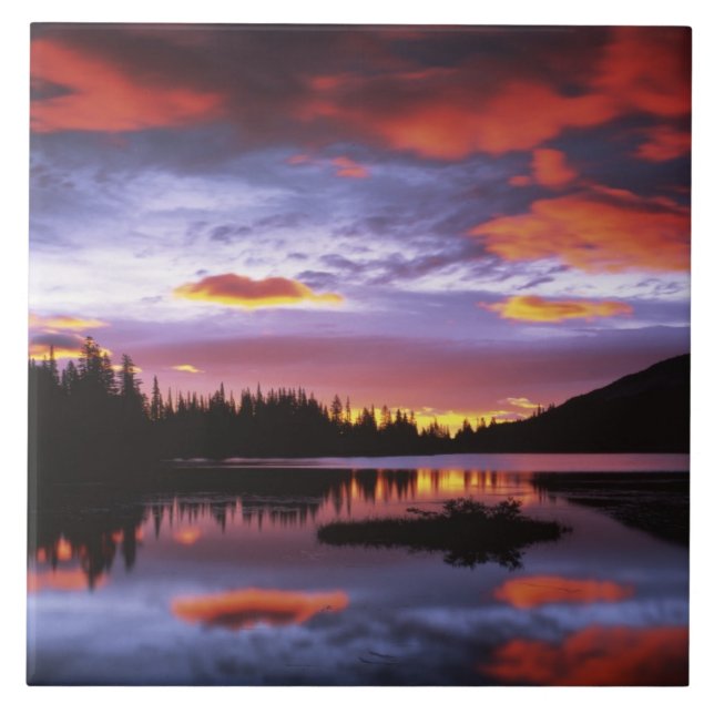 USA, Washington, Mt. Rainier National Park, Tile (Front)