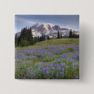 USA, Washington, Mt. Rainier NP, Mt. Rainier and 15 Cm Square Badge