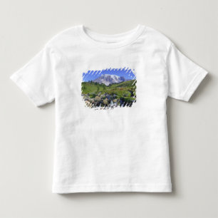 USA, Washington, Mt. Rainier NP, Mt. Rainier and 2 Toddler T-Shirt