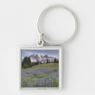 USA, Washington, Mt. Rainier NP, Mt. Rainier and Key Ring