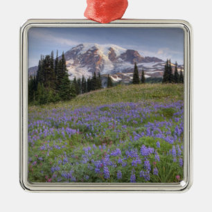 USA, Washington, Mt. Rainier NP, Mt. Rainier and Metal Tree Decoration