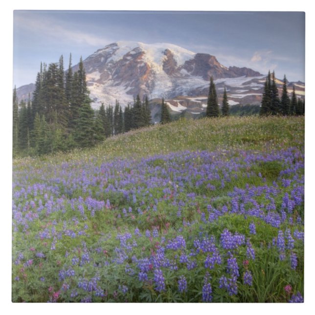 USA, Washington, Mt. Rainier NP, Mt. Rainier and Tile (Front)