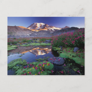 USA, Washington, Mt. Rainier NP, sunrise, Postcard