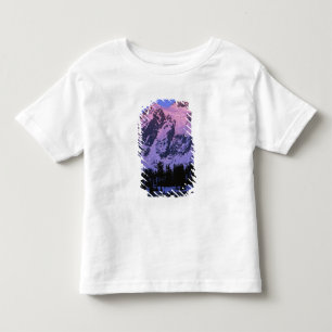 USA, Washington, Mt. Shuskan in North Cascades Toddler T-Shirt