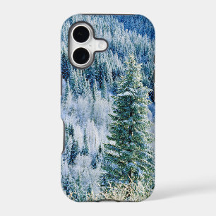 USA, Washington, Mt. Spokane State Park, Aspen