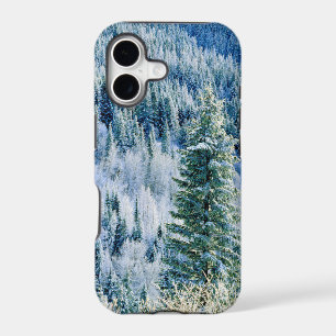 USA, Washington, Mt. Spokane State Park, Aspen 2