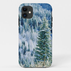 USA, Washington, Mt. Spokane State Park, Aspen 2 Case-Mate iPhone Case