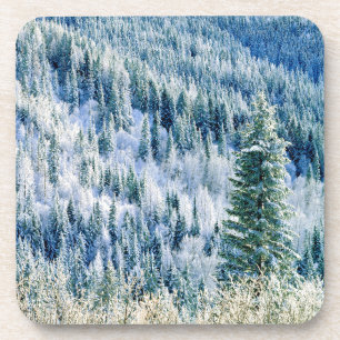 USA, Washington, Mt. Spokane State Park, Aspen 2 Coaster
