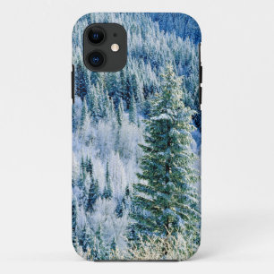 USA, Washington, Mt. Spokane State Park, Aspen Case-Mate iPhone Case