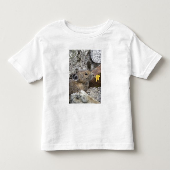 USA, Washington, North Cascades National Park, Toddler T-Shirt (Front)