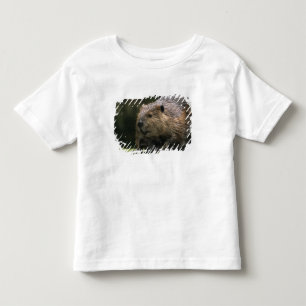 USA, Washington, Northwest Trek. Beaver Toddler T-Shirt