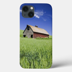USA, Washington, Old Red Barn in the Spring iPhone 13 Case