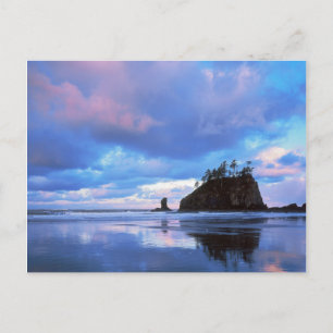 USA, Washington, Olympic National Park 2 Postcard