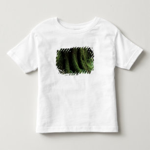 USA, Washington, Olympic National Park, 2 Toddler T-Shirt