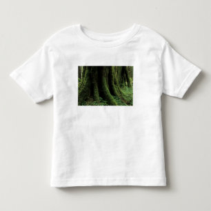 USA, Washington, Olympic National Park, 2 Toddler T-Shirt