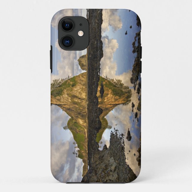 USA, Washington, Olympic National Park.  A Case-Mate iPhone Case (Back)