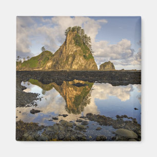 USA, Washington, Olympic National Park.  A Magnet