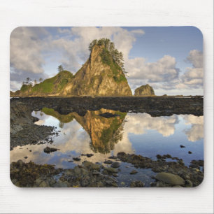USA, Washington, Olympic National Park. A Mouse Pad