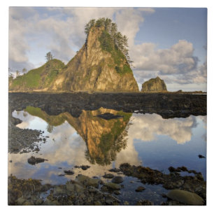 USA, Washington, Olympic National Park. A Tile