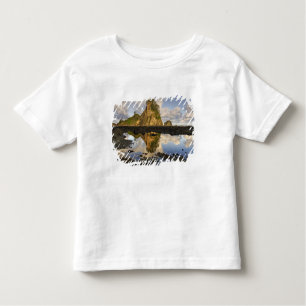 USA, Washington, Olympic National Park.  A Toddler T-Shirt