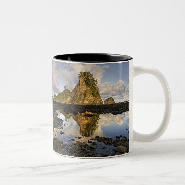 USA, Washington, Olympic National Park.  A Two-Tone Coffee Mug (Right)