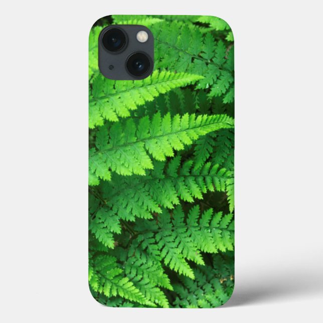 USA, Washington, Olympic National Park, Athyrium Case-Mate iPhone Case (Back)