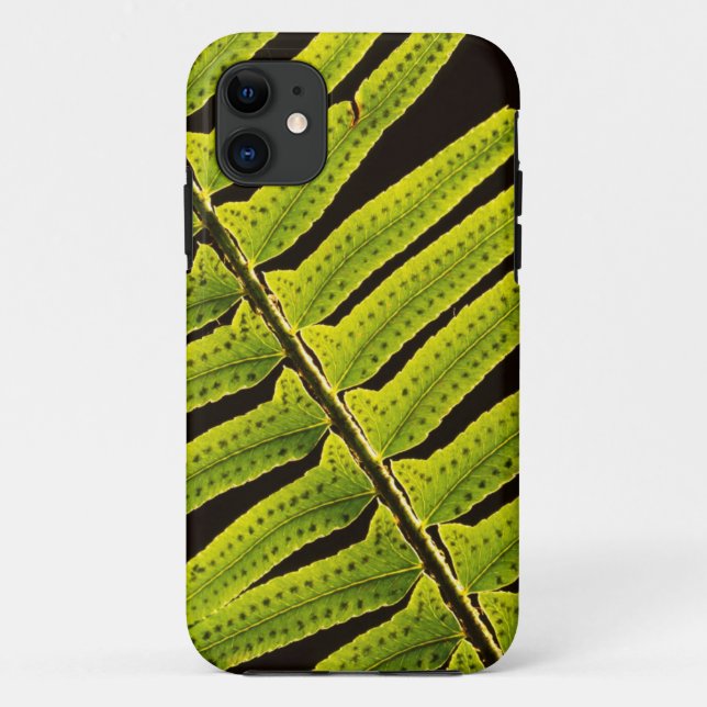 USA, Washington, Olympic National Park, Backlit Case-Mate iPhone Case (Back)