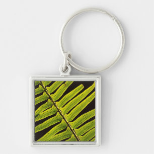 USA, Washington, Olympic National Park, Backlit Key Ring