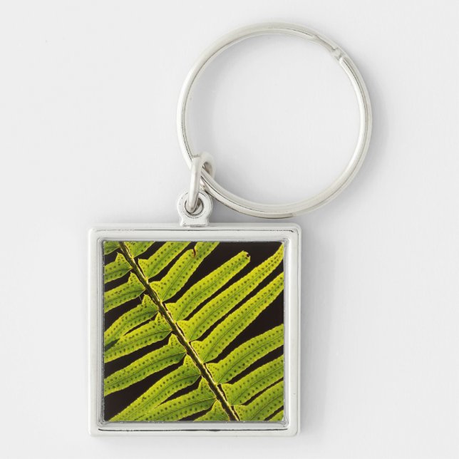 USA, Washington, Olympic National Park, Backlit Key Ring (Front)