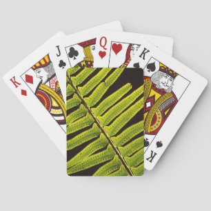 USA, Washington, Olympic National Park, Backlit Playing Cards