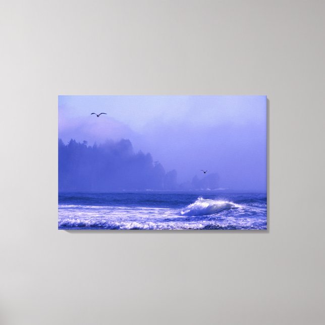 USA, Washington, Olympic National Park. Fog Canvas Print (Front)