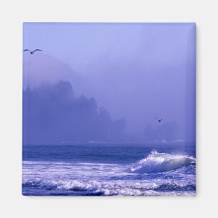 USA, Washington, Olympic National Park. Fog Magnet