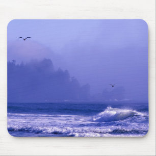 USA, Washington, Olympic National Park. Fog Mouse Pad