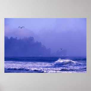 USA, Washington, Olympic National Park. Fog Poster