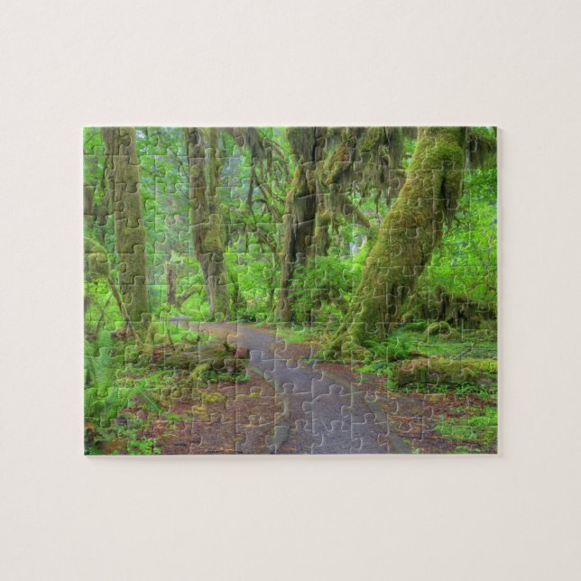 USA, Washington, Olympic National Park, Hoh Rain Jigsaw Puzzle (Horizontal)