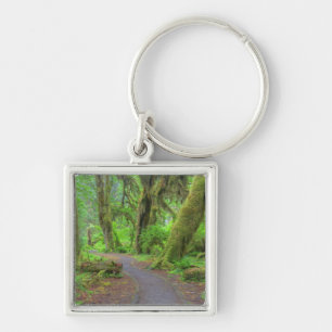 USA, Washington, Olympic National Park, Hoh Rain Key Ring