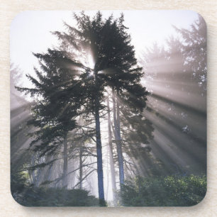 USA, Washington, Olympic National Park, Morning Coaster