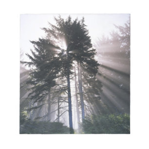 USA, Washington, Olympic National Park, Morning Notepad