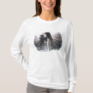 USA, Washington, Olympic National Park, Morning T-Shirt