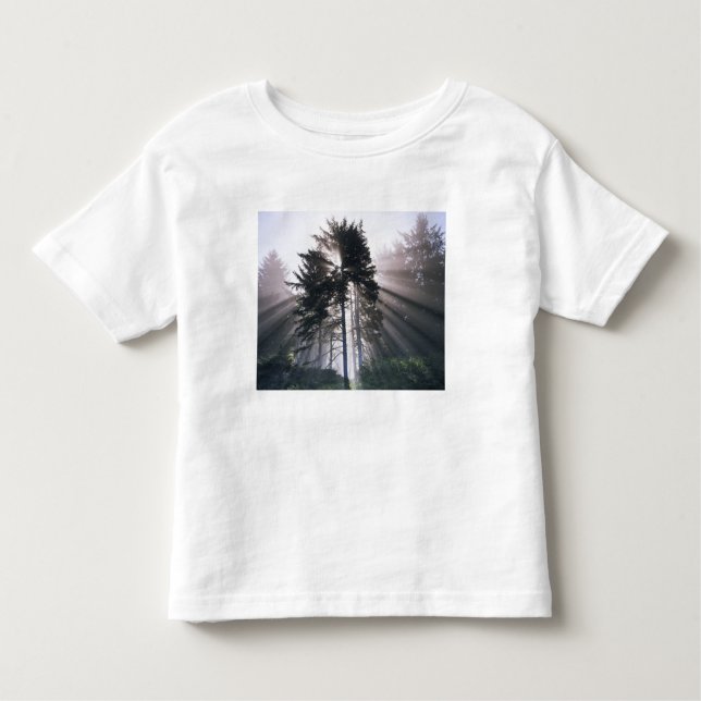 USA, Washington, Olympic National Park, Morning Toddler T-Shirt (Front)