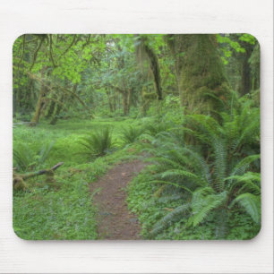 USA, Washington, Olympic National Park, Mouse Pad