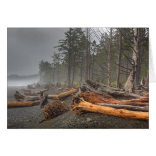 USA, Washington, Olympic National Park, Rialto