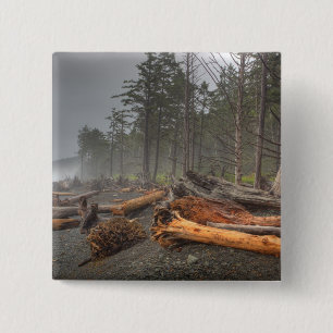 USA, Washington, Olympic National Park, Rialto 15 Cm Square Badge