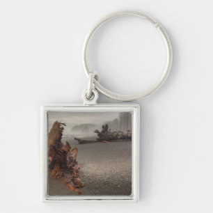 USA, Washington, Olympic National Park, Rialto 2 Key Ring