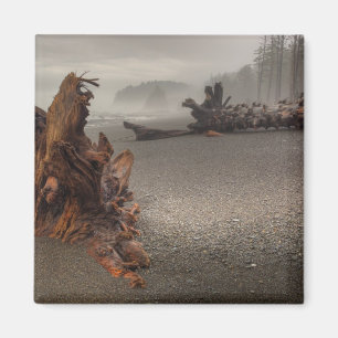 USA, Washington, Olympic National Park, Rialto 2 Magnet