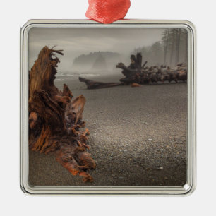 USA, Washington, Olympic National Park, Rialto 2 Metal Tree Decoration